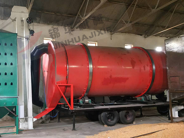 伊犁大型水稻烘干機械設備現(xiàn)場 